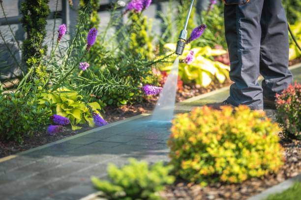 Best Pool Deck Cleaning  in Mckees Rocks, PA