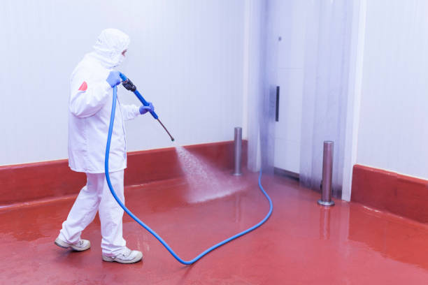 Best Roof Washing  in Mckees Rocks, PA